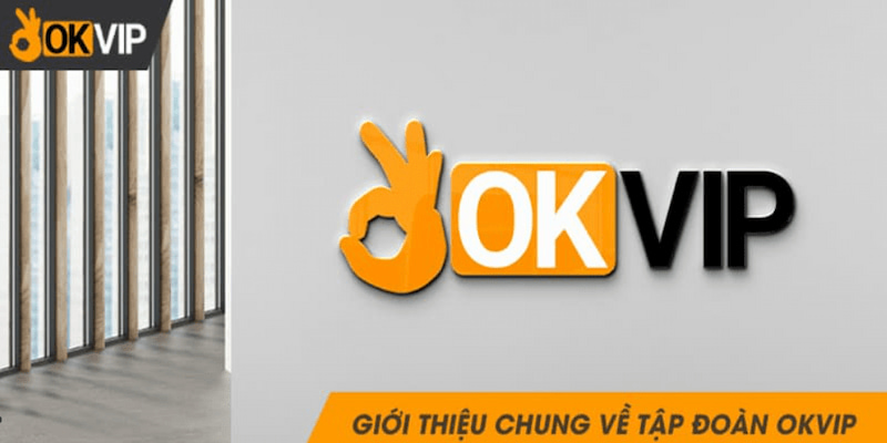 Giới thiệu chung về tập đoàn OKVIP