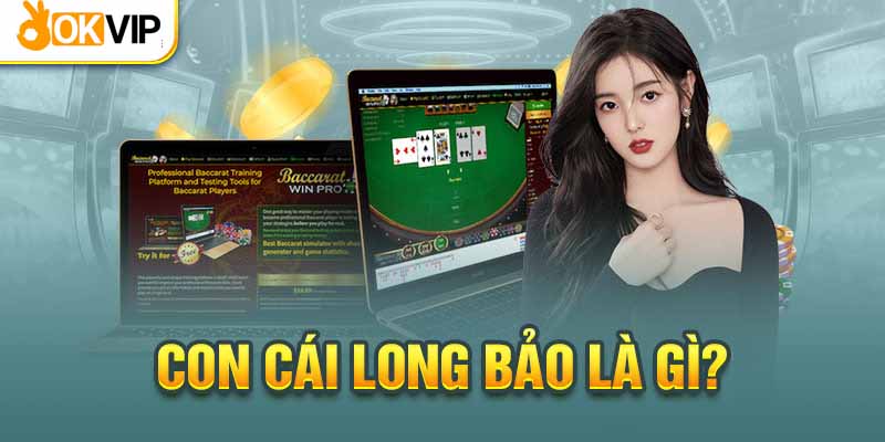 Con Cái Long Bảo - Quy Tắc Đặt Cược Trong Game Baccarat 1 Con cái long bảo trong Baccarat là gì?